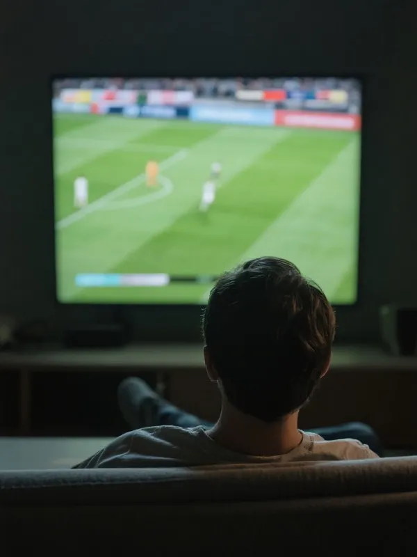 加入前：普通观赛